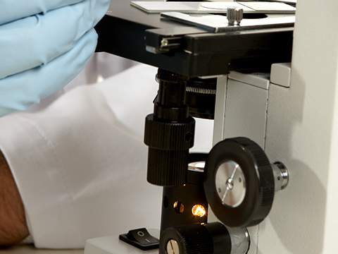 光学仪器计量图片 光学仪器计量图片