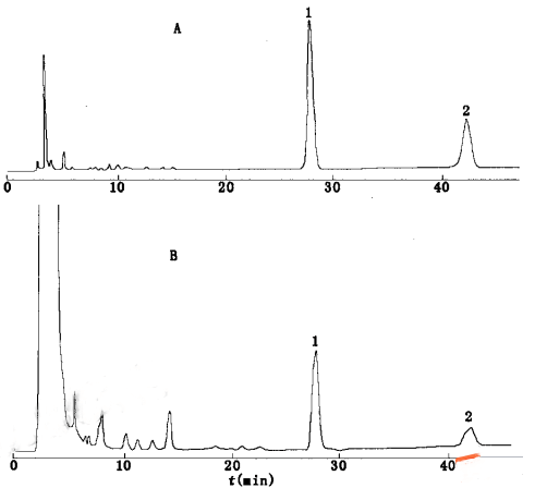 1611985334518423.png 1608466260107758.png